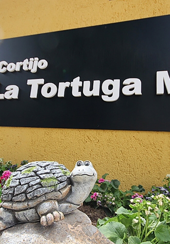 La Tortuga Mora
